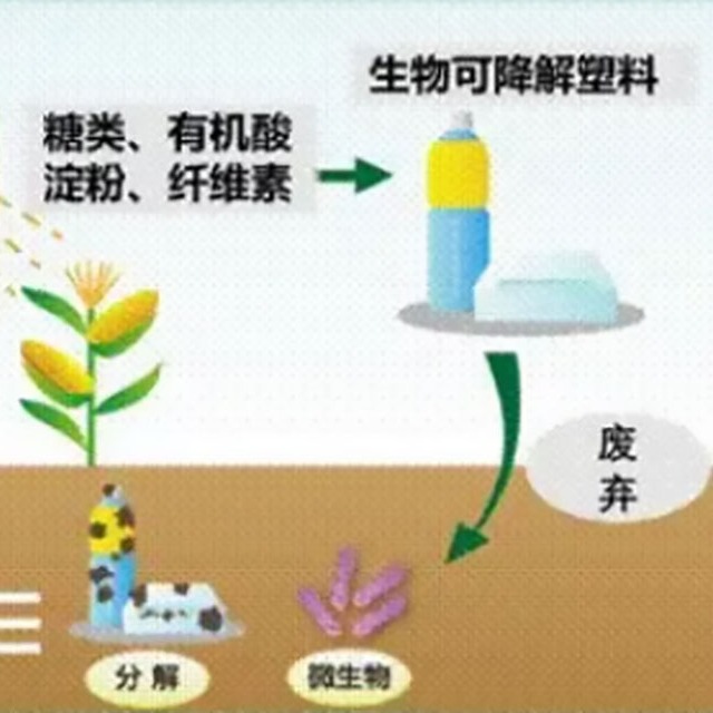 飽受爭議的“可降解塑料”